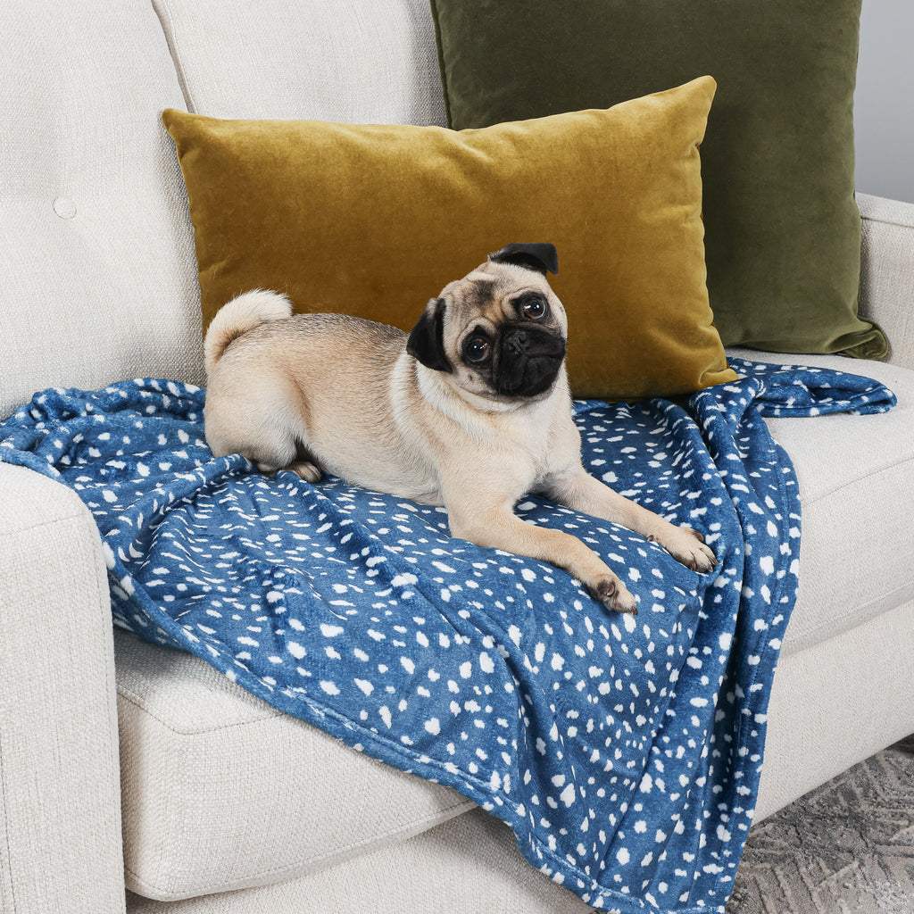 2-Pack Pet Blankets, Blue with dog