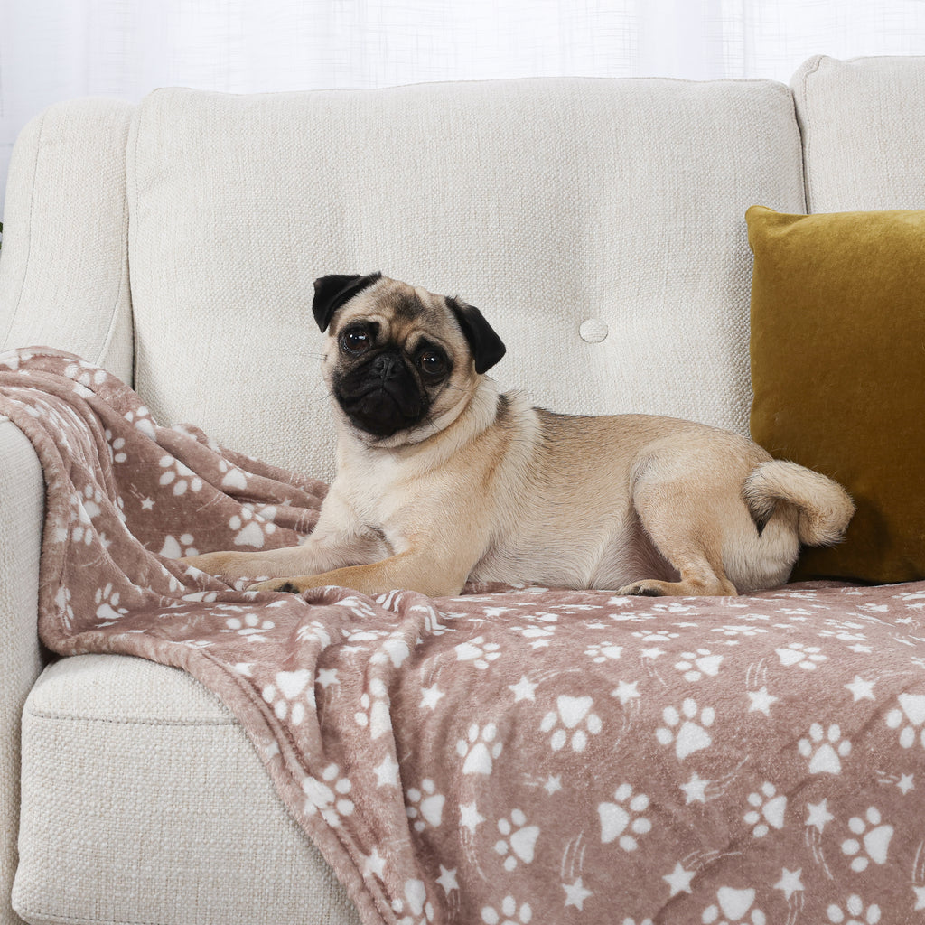 2-Pack Pet Blankets, Neutral with dog